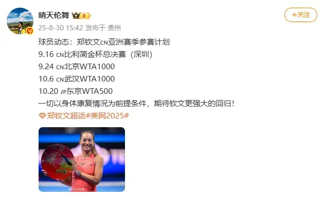 效果良好, 回赛