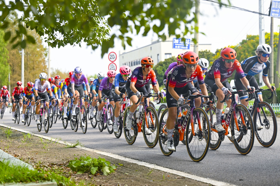 Icy, com, 年环崇明岛